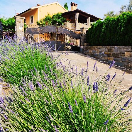 Apartment Wine & Olive Oil Mofardin Κόπερ Εξωτερικό φωτογραφία